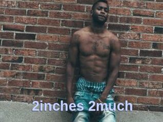 2inches_2much