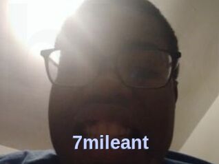 7mileant