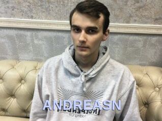 ANDREAS_N