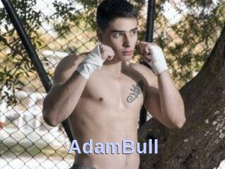 AdamBull