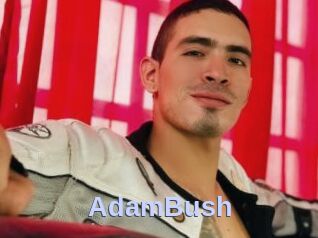 AdamBush
