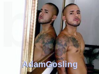 AdamGosling