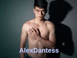 AlexDantess