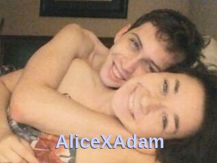 Alice_X_Adam