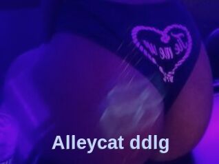 Alleycat_ddlg