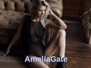 AmeliaGate