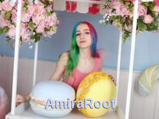 AmiraRoof