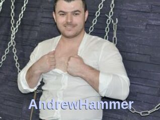 AndrewHammer