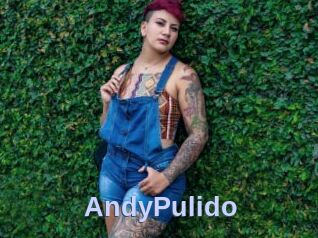 AndyPulido