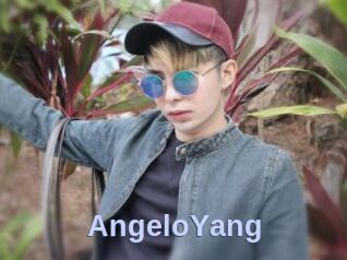 AngeloYang