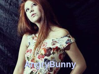 AngryBunny