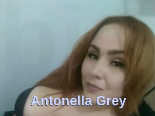 Antonella_Grey