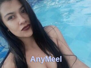 AnyMeel