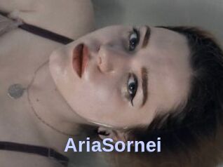 AriaSornei