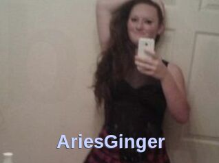 AriesGinger