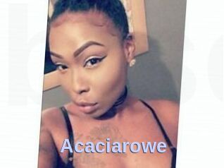 Acacia_rowe