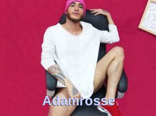 Adamrosse