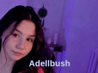 Adellbush