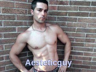 Aesteticguy