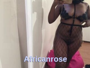 Africanrose