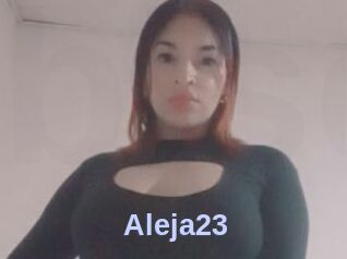Aleja23