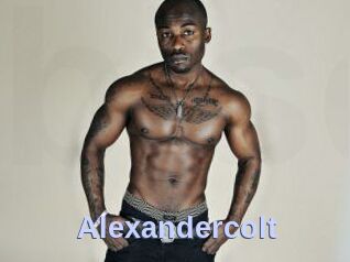Alexandercolt