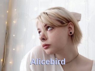 Alicebird