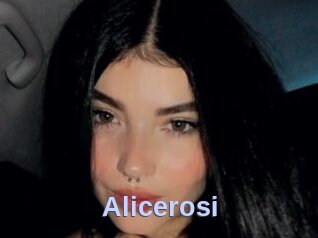 Alicerosi