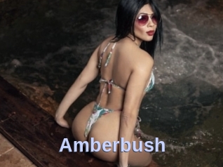 Amberbush