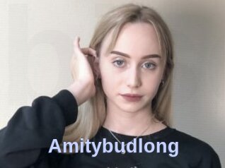 Amitybudlong