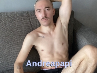 Andreapapi