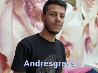Andresgreys