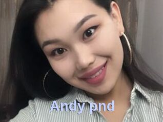 Andy_pnd