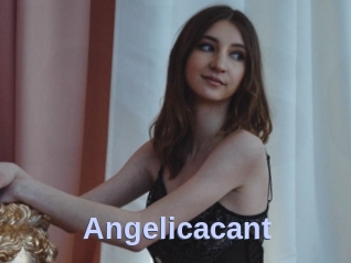 Angelicacant