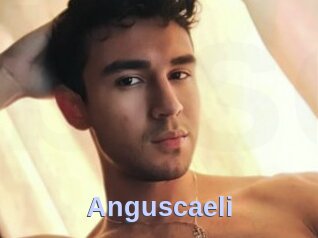 Anguscaeli