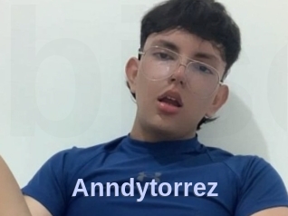 Anndytorrez