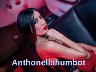 Anthonellahumbot