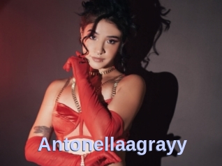 Antonellaagrayy