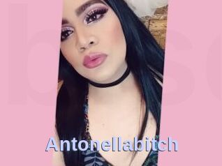 Antonellabitch