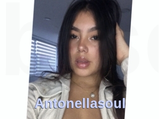 Antonellasoul