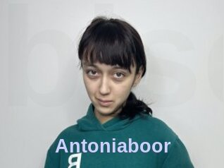 Antoniaboor