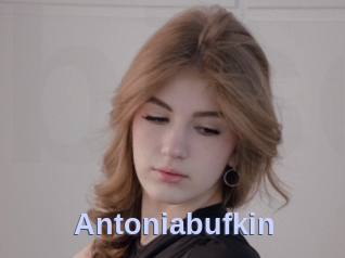 Antoniabufkin