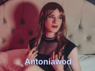 Antoniawod