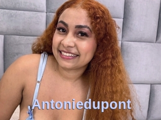 Antoniedupont