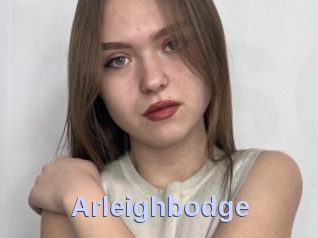Arleighbodge