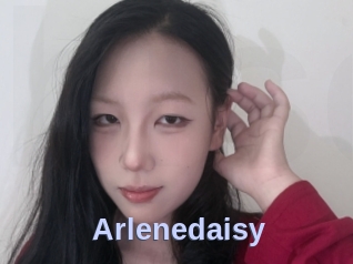 Arlenedaisy