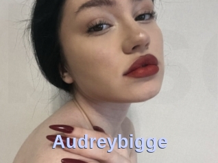 Audreybigge
