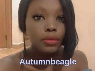 Autumnbeagle