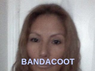BANDACOOT