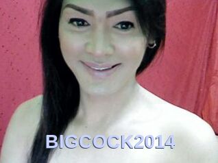 BIGCOCK2014